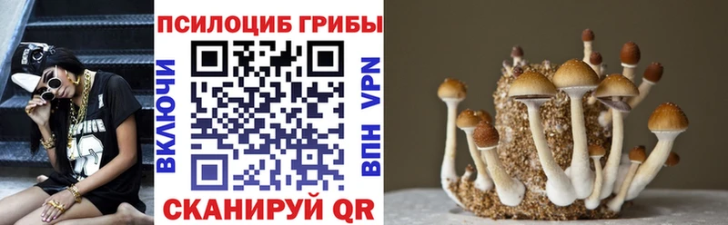 магазин продажи   Вичуга  ОМГ ОМГ   Галлюциногенные грибы GOLDEN TEACHER 